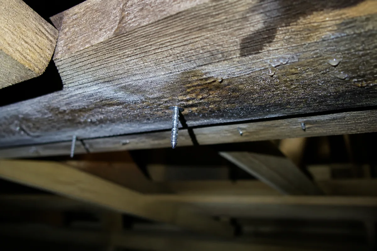 Charpente en bois vue depuis l&rsquo;intérieur de combles avec gouttelettes de condensation sur les pointes métalliques