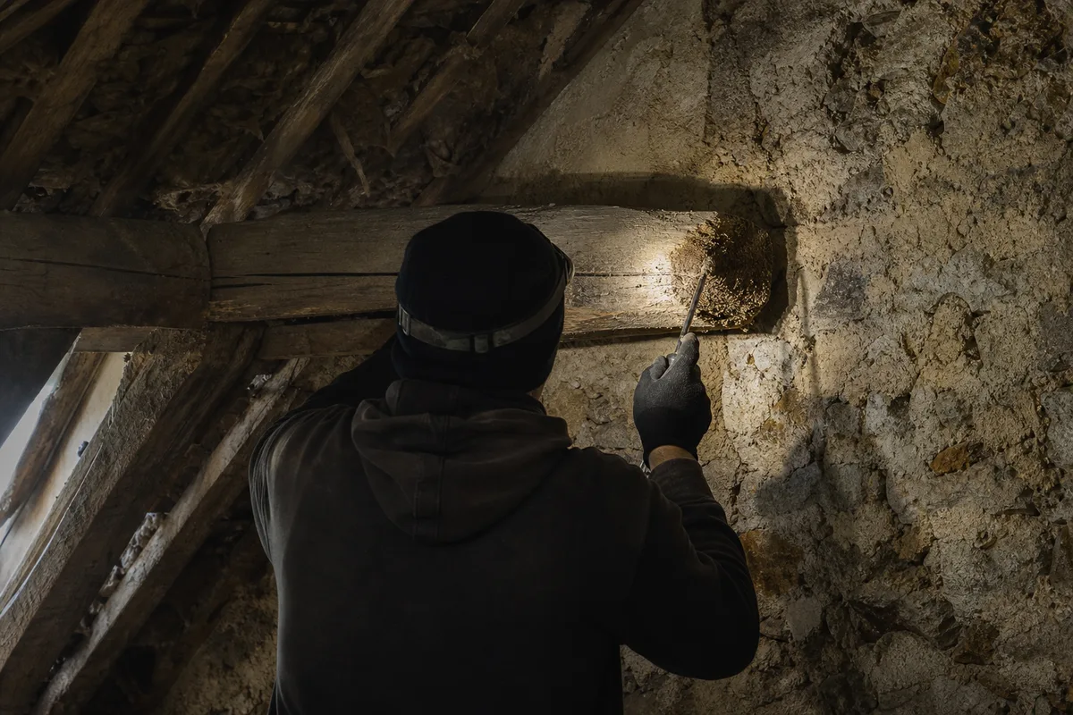Silhouette d’un charpentier sondant une panne de bois dans un comble mansarde