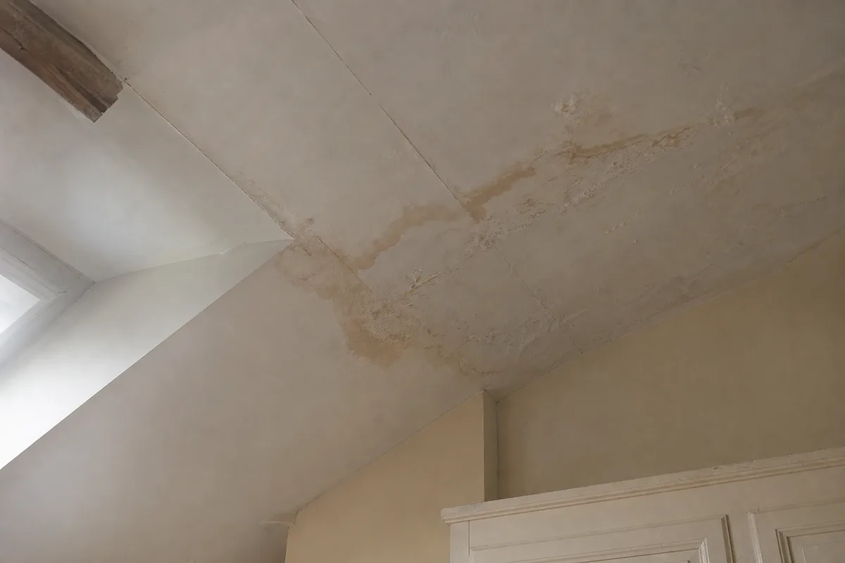 Traces d’humidité et auréole brune sur un plafond mansardé sous un rampant, lumière naturelle latérale